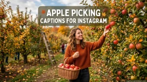 Apple Picking Captions for Instagram